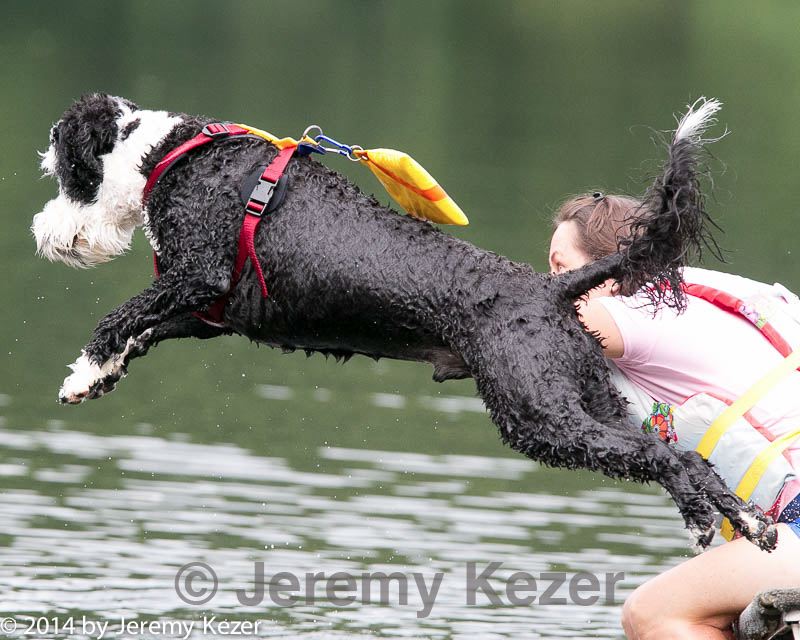 20140817-cwd-0004.jpg