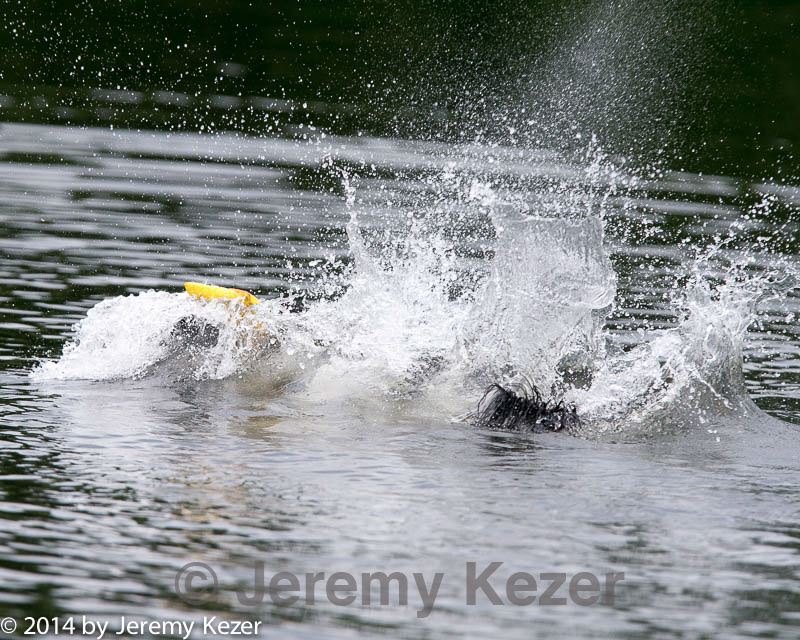 20140817-cwd-0008.jpg
