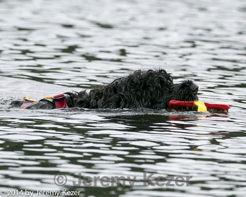 20140817-cwd-0088.jpg