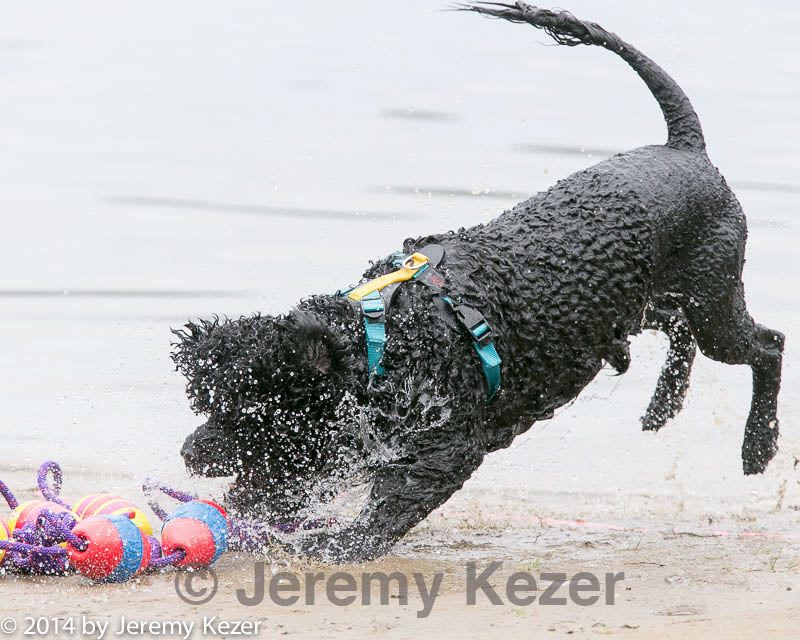 20140817-cwd-0179.jpg