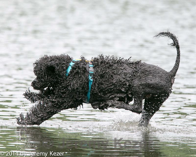 20140817-cwd-0214.jpg