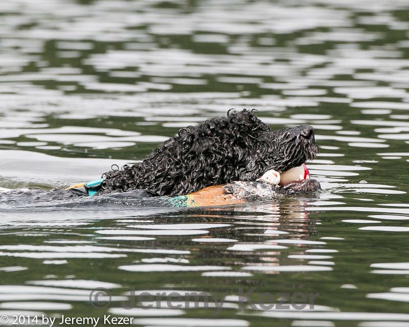 20140817-cwd-0224.jpg