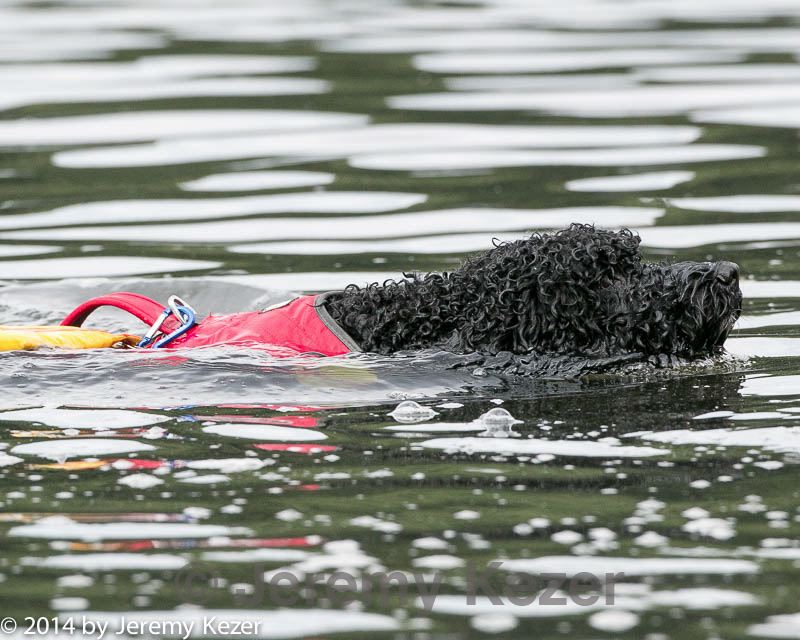 20140817-cwd-0239.jpg