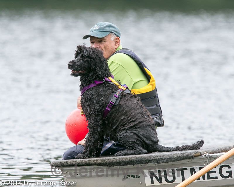 20140817-cwd-0414.jpg