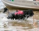 20140817-jwd-0049