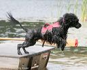 20140817-jwd-0060