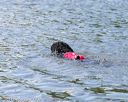 20140817-jwd-0072