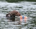 20140817-vers-0010