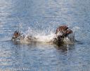 20140817-vers-0025