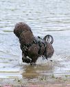 20140817-vers-0030