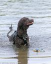 20140817-vers-0059