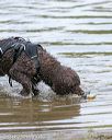 20140817-vers-0060