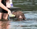 20140817-vers-0081