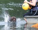 20140817-vers-0084