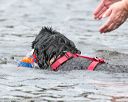 20140817-wwd-0003