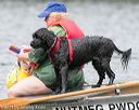 20140817-wwd-0004