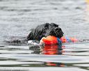 20140817-wwd-0011