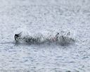 20140817-wwd-0025