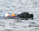 20140817-wwd-0038