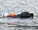 20140817-wwd-0040