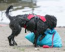 20140817-wwd-0046