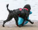 20140817-wwd-0052