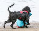 20140817-wwd-0053