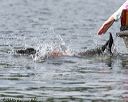 20140817-wwd-0064