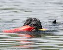 20140817-wwd-0069