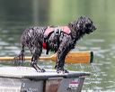 20140817-wwd-0083