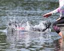 20140817-wwd-0097