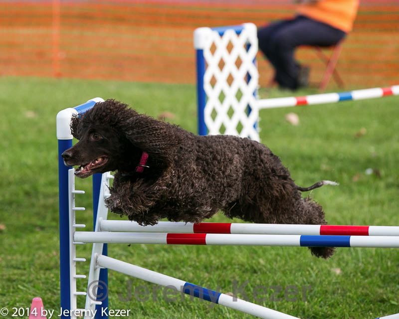 20140925-wc-0022.jpg