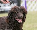 20140926-wc-0621