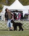20140926-wc-0088