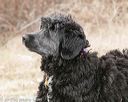 20150111-mpwdc-0013