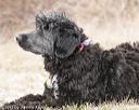 20150111-mpwdc-0015
