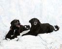 20150111-mpwdc-0075