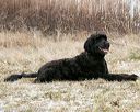 20150111-mpwdc-0116