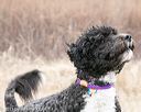 20150111-mpwdc-0225