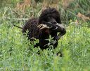 20150526-wcl-0118