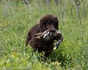 20150526-wcl-0191