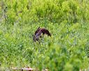 20150526-wcxl-0073