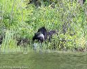 20150526-wcxw-0102
