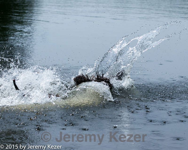20150526-wcxw-0076.jpg