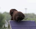 20150528-ag-0039
