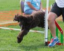 20150528-ag-0248