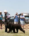 20150530-co-0331