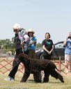 20150530-co-0333