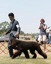 20150530-co-0433