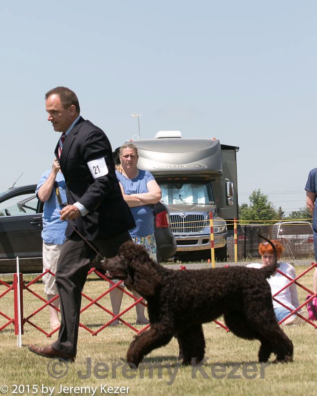20150530-co-0317.jpg